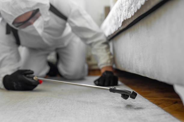 Professional Pest Control technician working in Hudson, NC