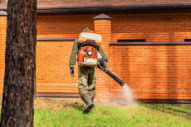 Trusted Emergency Pest Control service in Hudson, NC - Nex Pest Control